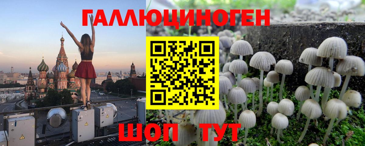 Псилоцибиновые грибы Cubensis Волгодонск