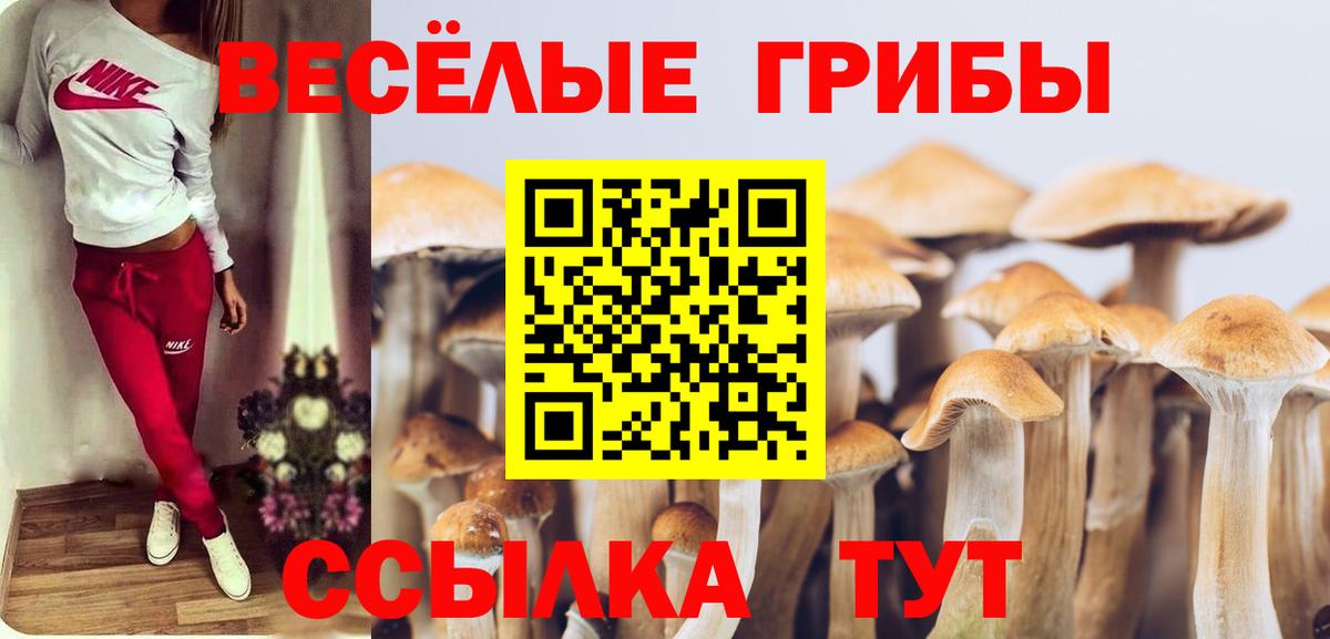 Галлюциногенные грибы MAGIC MUSHROOMS  Вход с VPN  Псилоцибиновые грибы Cubensis  Волгодонск 