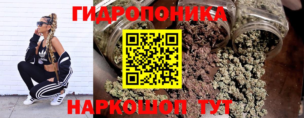 Бошки марихуана тримм  Вход с VPN  Конопля THC 21%  Каннабис индика  Канабис LSD WEED  Волгодонск 